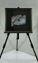 Load image into Gallery viewer, Small Framed Yellowfin Tuna Painting
