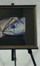 Load image into Gallery viewer, Small Framed Yellowfin Tuna Painting
