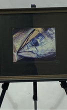 Load image into Gallery viewer, Small Framed Yellowfin Tuna Painting
